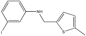3-iodo-N-[(5-methylthiophen-2-yl)methyl]aniline|