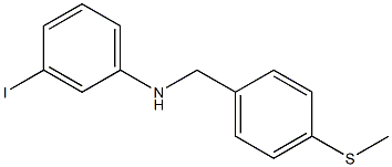 3-iodo-N-{[4-(methylsulfanyl)phenyl]methyl}aniline Structure