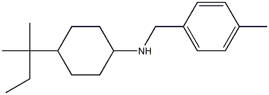  4-(2-methylbutan-2-yl)-N-[(4-methylphenyl)methyl]cyclohexan-1-amine