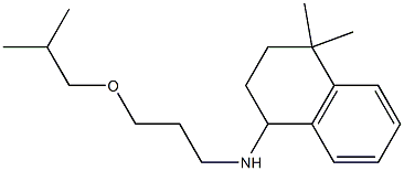 4,4-dimethyl-N-[3-(2-methylpropoxy)propyl]-1,2,3,4-tetrahydronaphthalen-1-amine Struktur