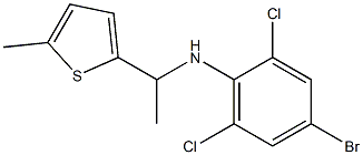  4-bromo-2,6-dichloro-N-[1-(5-methylthiophen-2-yl)ethyl]aniline
