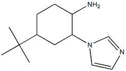 4-tert-butyl-2-(1H-imidazol-1-yl)cyclohexanamine Structure