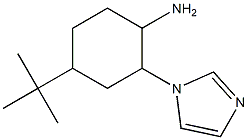  4-tert-butyl-2-(1H-imidazol-1-yl)cyclohexanamine