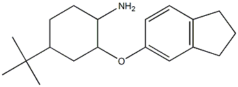 4-tert-butyl-2-(2,3-dihydro-1H-inden-5-yloxy)cyclohexan-1-amine