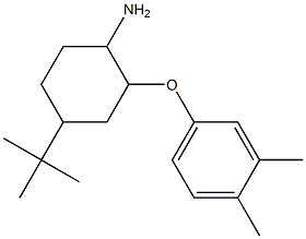 4-tert-butyl-2-(3,4-dimethylphenoxy)cyclohexan-1-amine