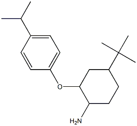 4-tert-butyl-2-[4-(propan-2-yl)phenoxy]cyclohexan-1-amine Structure