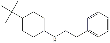 4-tert-butyl-N-(2-phenylethyl)cyclohexan-1-amine