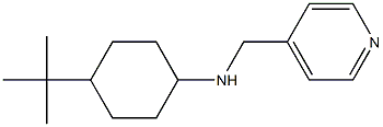 4-tert-butyl-N-(pyridin-4-ylmethyl)cyclohexan-1-amine 化学構造式