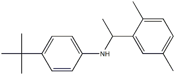 4-tert-butyl-N-[1-(2,5-dimethylphenyl)ethyl]aniline Structure