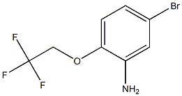 5-bromo-2-(2,2,2-trifluoroethoxy)aniline, 1019121-52-8, 结构式