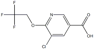 5-chloro-6-(2,2,2-trifluoroethoxy)nicotinic acid Structure
