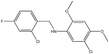 5-chloro-N-[(2-chloro-4-fluorophenyl)methyl]-2,4-dimethoxyaniline,,结构式