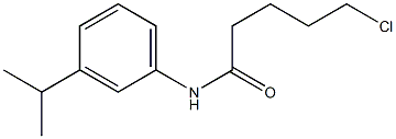  5-chloro-N-[3-(propan-2-yl)phenyl]pentanamide