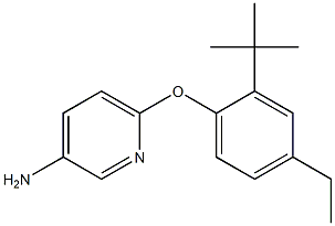 6-(2-tert-butyl-4-ethylphenoxy)pyridin-3-amine