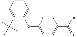 6-(2-tert-butylphenoxy)pyridine-3-carboxylic acid