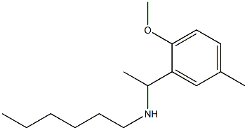 hexyl[1-(2-methoxy-5-methylphenyl)ethyl]amine 结构式