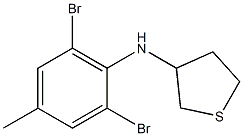 N-(2,6-dibromo-4-methylphenyl)thiolan-3-amine Structure