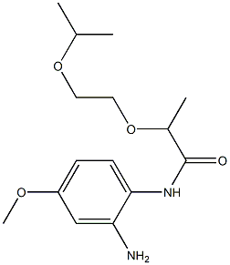 N-(2-amino-4-methoxyphenyl)-2-[2-(propan-2-yloxy)ethoxy]propanamide