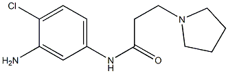 N-(3-amino-4-chlorophenyl)-3-pyrrolidin-1-ylpropanamide Structure