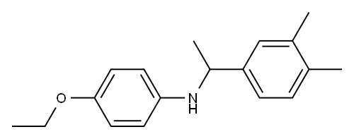 N-[1-(3,4-dimethylphenyl)ethyl]-4-ethoxyaniline Structure