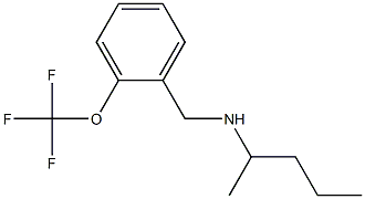 pentan-2-yl({[2-(trifluoromethoxy)phenyl]methyl})amine