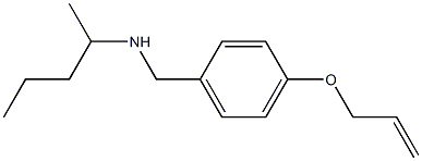 pentan-2-yl({[4-(prop-2-en-1-yloxy)phenyl]methyl})amine