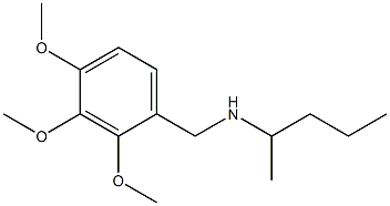 pentan-2-yl[(2,3,4-trimethoxyphenyl)methyl]amine