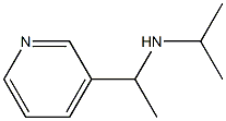 propan-2-yl[1-(pyridin-3-yl)ethyl]amine