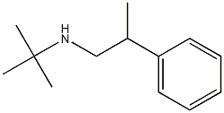 tert-butyl(2-phenylpropyl)amine Struktur