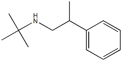 tert-butyl(2-phenylpropyl)amine