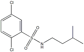 2,5-dichloro-N-isopentylbenzenesulfonamide