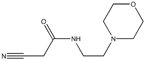 2-cyano-N-(2-morpholinoethyl)acetamide 化学構造式