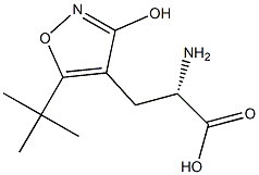(S)-2-Amino-3-(3-hydroxy-5-tert-butyliosxazol-4-yl)propanoic acid Structure