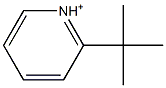 2-tert-Butylpyridinium Struktur