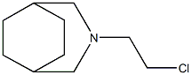 3-(2-Chloroethyl)-3-azabicyclo[3.2.2]nonane Structure