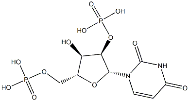 Uridine 2',5'-bisphosphoric acid Structure