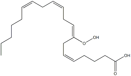 (5Z,8E,11Z,14Z)-8-Hydroperoxy-5,8,11,14-icosatetraenoic acid Struktur
