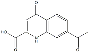 7-Acetyl-1,4-dihydro-4-oxoquinoline-2-carboxylic acid