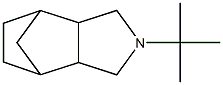 Octahydro-2-(tert-butyl)-4,7-methano-2H-isoindole Struktur