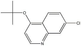 4-[(tert-ブチル)オキシ]-7-クロロキノリン 化学構造式