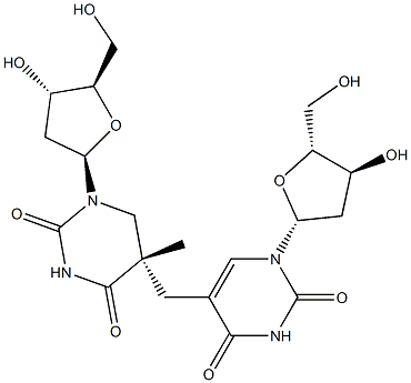 (5S)-5-(2'-Deoxyuridine-5-ylmethyl)-5,6-dihydrothymidine Structure