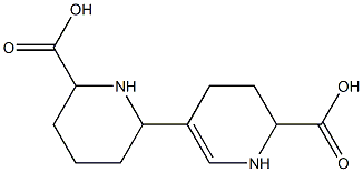 1,1',2',3',4,4',5,5',6,6'-デカヒドロ[3,2'-ビピリジン]-6,6'-ジカルボン酸 化学構造式