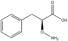 (S)-2-(Aminooxy)-3-phenylpropionic acid Struktur