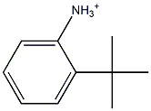 2-(tert-ブチル)アニリニウム 化学構造式