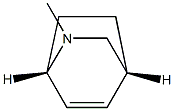 (1R,4S)-8-Methyl-8-azabicyclo[2.2.2]oct-2-ene Struktur