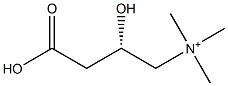(S)-3-カルボキシ-2-ヒドロキシ-N,N,N-トリメチル-1-プロパンアミニウム 化学構造式