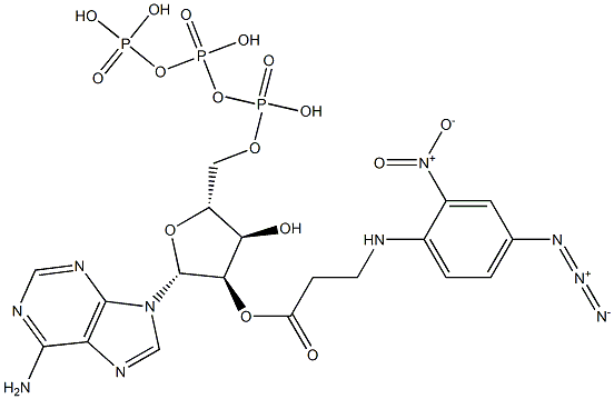 Adenosine 2'-[3-[(4-azido-2-nitrophenyl)amino]propionate]5'-triphosphoric acid Structure