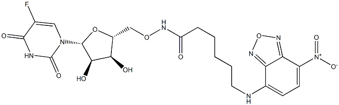 5'-O-[[6-[(7-Nitro-2,1,3-benzoxadiazol-4-yl)amino]-1-oxohexyl]amino]-5-fluorouridine