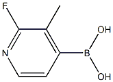 2-fluoro-3-Methylpyridin-4-yl-4-boronic acid Structure
