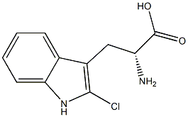 2-chloro-D-tryptophan Structure